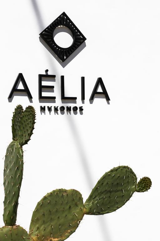 Aelia Mykonos Hotell Ornos  Exteriör bild